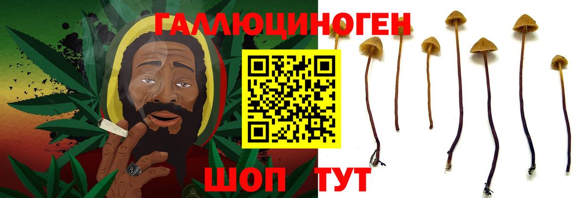 Галлюциногенные грибы мицелий Нефтекумск